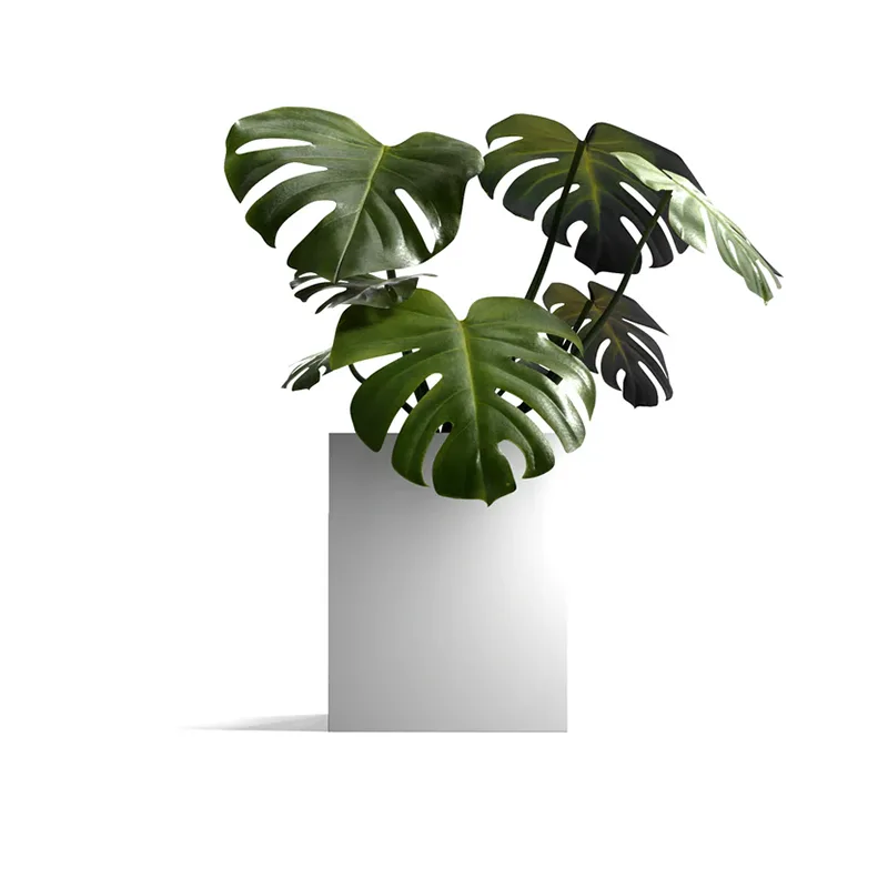 Jardinière extérieure carrée légère